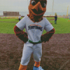 Ferryhawks Mascot Diamond Painting