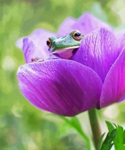 Frog On A Purple Tulip Diamond Painting