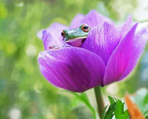 Frog On A Purple Tulip Diamond Painting