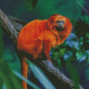 Golden Lion Tamarin Diamond Painting