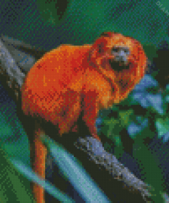 Golden Lion Tamarin Diamond Painting