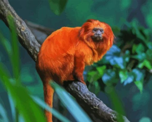 Golden Lion Tamarin Diamond Painting