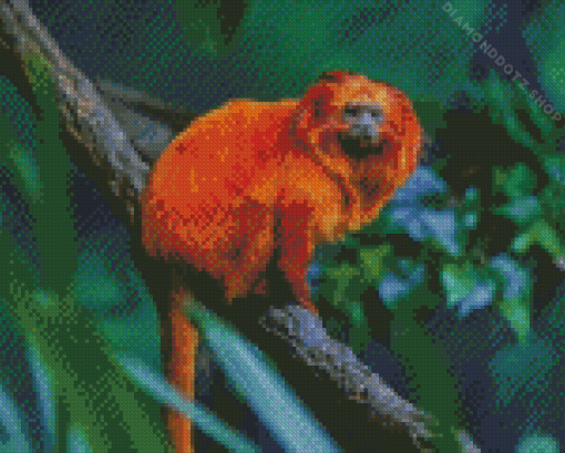 Golden Lion Tamarin Diamond Painting