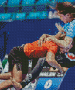 Grappling Girls Players Diamond Painting