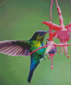 Hummingbird And Flower Diamond Painting