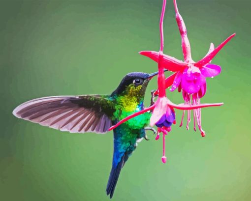 Hummingbird And Flower Diamond Painting