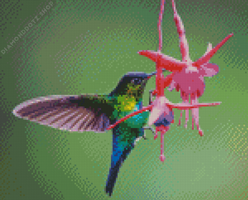 Hummingbird And Flower Diamond Painting