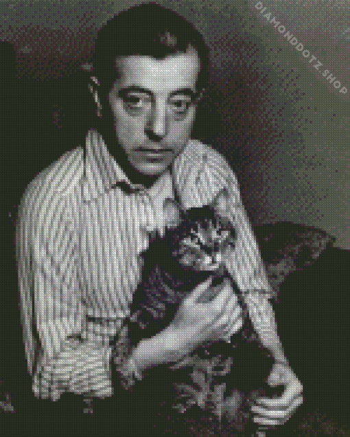 Jacques Prevert With Cat Diamond Painting