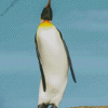 King Penguin Saunders Island Diamond Painting