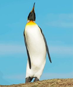 King Penguin Saunders Island Diamond Painting