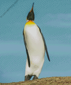 King Penguin Saunders Island Diamond Painting