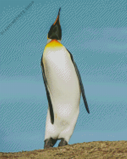 King Penguin Saunders Island Diamond Painting