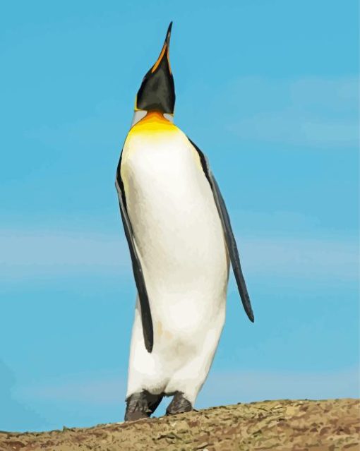 King Penguin Saunders Island Diamond Painting