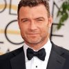 Liev Schreiber Diamond Painting