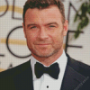 Liev Schreiber Diamond Painting