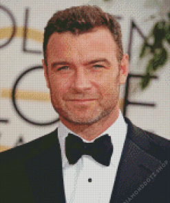 Liev Schreiber Diamond Painting