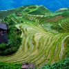 Longshen Rice Terraces Diamond Painting