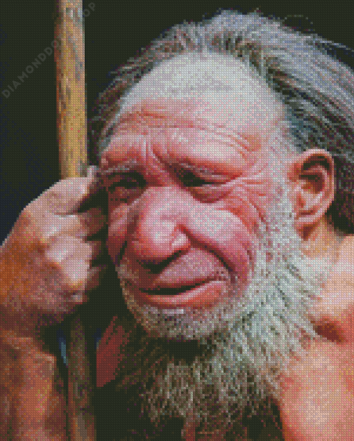 Neanderthal Diamond Painting