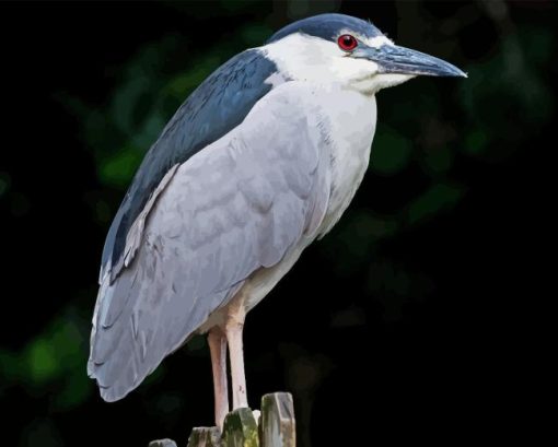 Night Heron Bird Diamond Painting