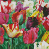 Parrot Tulips Diamond Painting