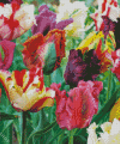 Parrot Tulips Diamond Painting