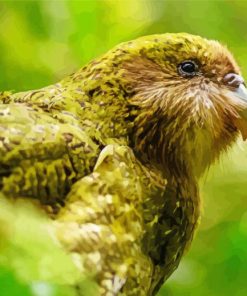 Portrait Of A Kakapo Diamond Painting