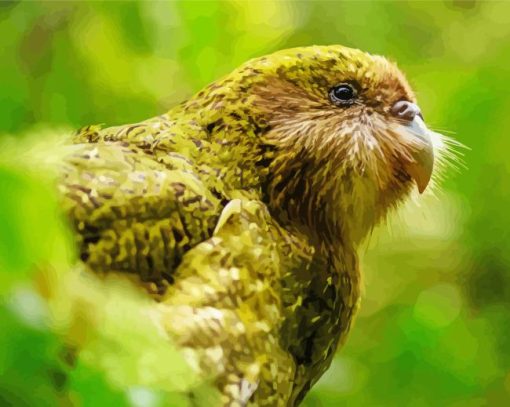 Portrait Of A Kakapo Diamond Painting