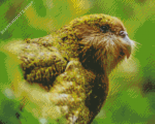 Portrait Of A Kakapo Diamond Painting