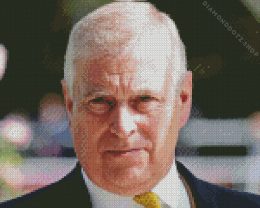 Prince Andrew Diamond Painting