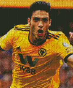 Raul Jimenez Football Player Diamond Painting