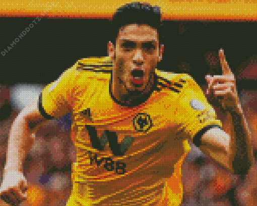 Raul Jimenez Football Player Diamond Painting