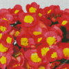 Red And Yellow Begonias Diamond Painting