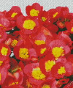 Red And Yellow Begonias Diamond Painting