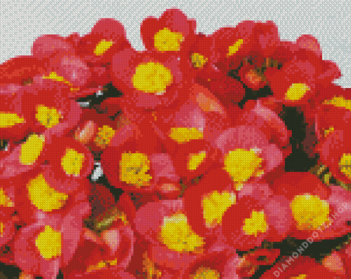 Red And Yellow Begonias Diamond Painting