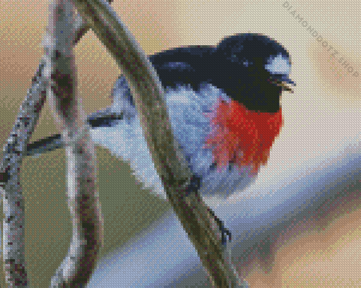 Scarlet Robin Diamond Painting