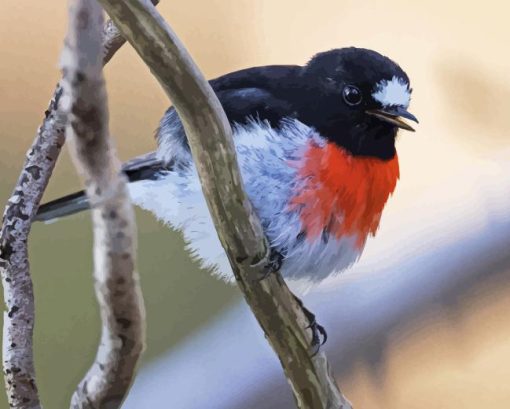 Scarlet Robin Diamond Painting