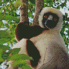 Sifaka Diamond Painting