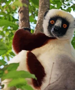 Sifaka Diamond Painting