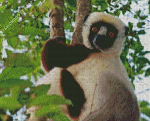 Sifaka Diamond Painting