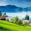 Switzerland Zug Lake Diamond Painting