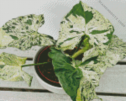 Syngonium Plant Diamond Painting