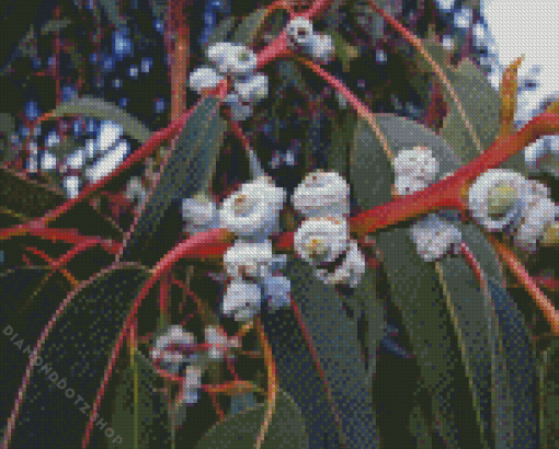 Tasmanian Blue Gum Diamond Painting