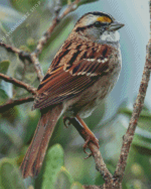 Throated Sparrow On Stick Diamond Painting