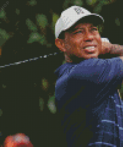 Tiger Woods Golfer Diamond Painting