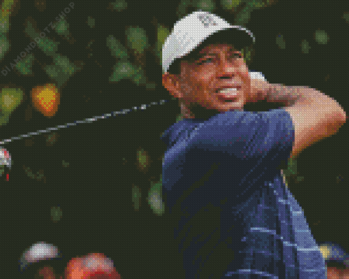 Tiger Woods Golfer Diamond Painting