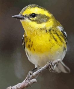 Townsend Warbler Bird Diamond Painting