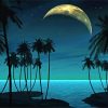 Tropical Night Diamond Painting