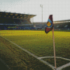 Turf Moor Diamond Painting