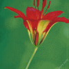 Wood Lily Diamond Painting