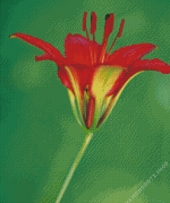 Wood Lily Diamond Painting